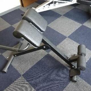 バックエクステンション ベンチの画像