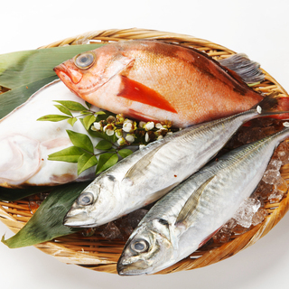 デパ地下で鮮魚パック詰め・品出し