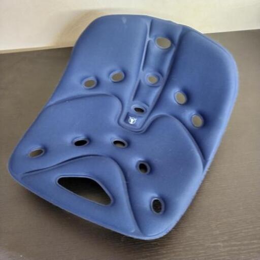 その他 BackJoy