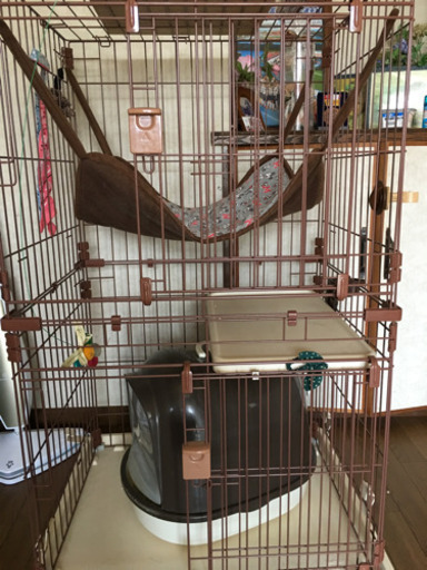 猫ゲージ2段綺麗ですトイレ付き