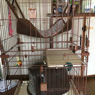 猫ゲージ2段綺麗ですトイレ付き