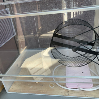 値下げします。ハリネズミ　アクリルゲージ　小屋
