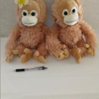 可愛いおさるのぬいぐるみ