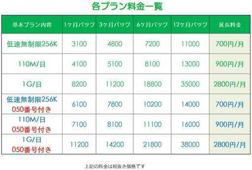 ドコモ 格安SIM 低速 無制限 050番号付き12ヶ月プラン(Docomo 格安SIM 12ヶ月パック)