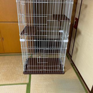 猫　ゲージ