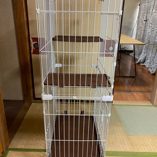 猫　ゲージの画像