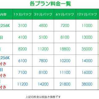 格安SIM プリペイドsim 日本国内 ドコモ 高速データ容量1G/日12ヶ月プラン(Docomo 格安SIM 12ヶ月パック)プリペイドsim