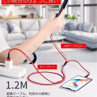 3in1 充電ケーブル iPhone 充電ケーブル Type-C microUSB ケーブル 急速 同時 充電 アップル アンドロイド andoroid スマホ ipad pro ポイント消化の画像