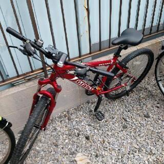夜間サイクリングしましょう🚴