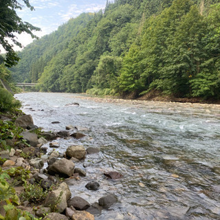 渓流釣りに行こう！ − 山梨県