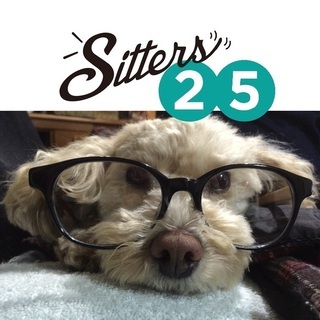 ペットシッターします！犬猫 Pet Sitter Dog wal...