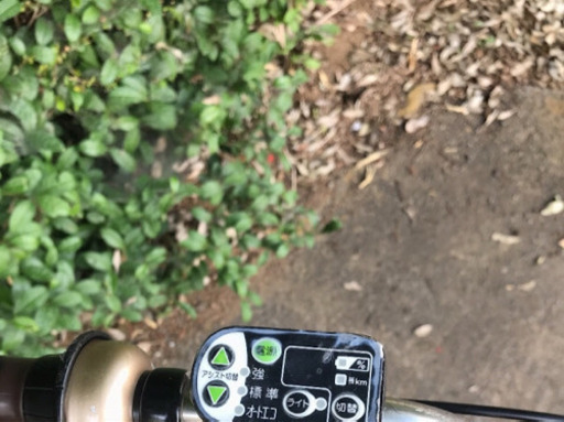 ✳️C02S電動自転車F89V✴️ブリジストンアンジェリーノ?長生き8アンペア?