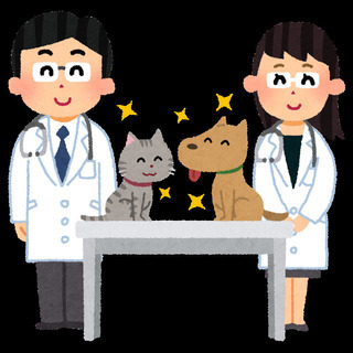 ✨🐶🐱＼✨獣医✨／🐱🐶✨ 💕