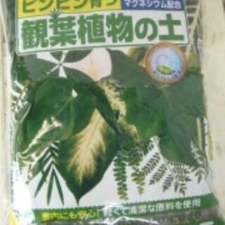【予定者決まりました】園芸用品お譲りします