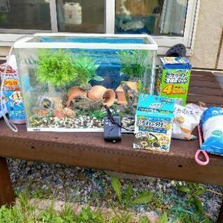 今すぐ使える！水槽  10点以上セット(^-^)  金魚 メダカ 亀