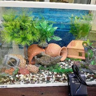 今すぐ使える！水槽  10点以上セット(^-^)  金魚 メダカ 亀の画像