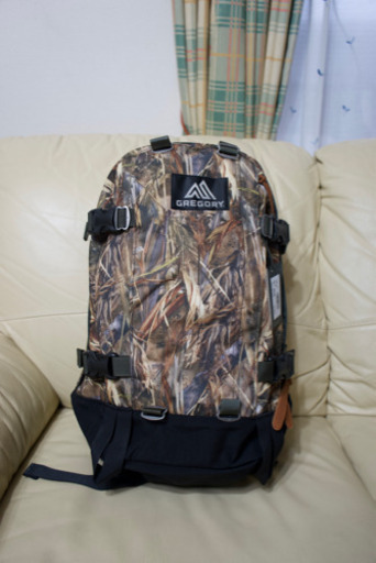 グレゴリー　オールデイ　22リットル