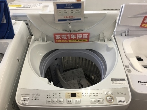 SHARP 全自動洗濯機入荷 8799