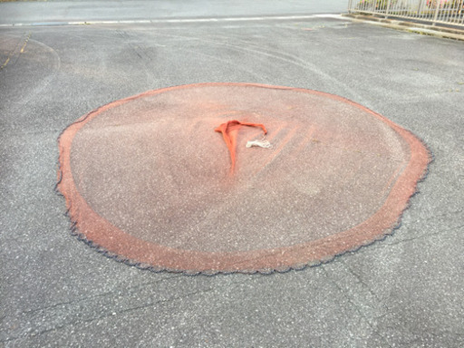 投網です