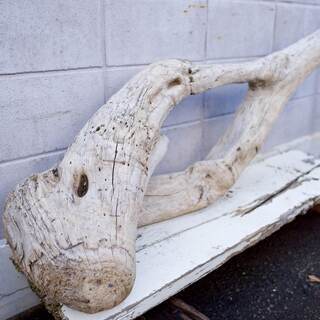 SEASIDEinterior★インテリアディスプレイに流木 13の画像