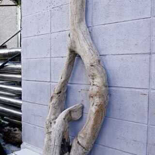 SEASIDEinterior★インテリアディスプレイに流木 13の画像