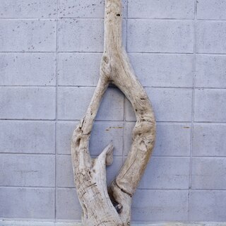 SEASIDEinterior★インテリアディスプレイに流木 13