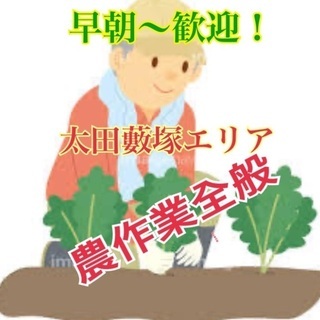 早朝からの農園のお手伝い！野菜の収穫や荷造りなどのお仕事です