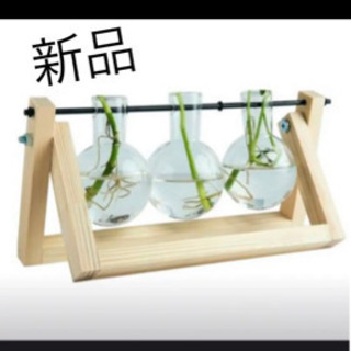 【新品】ガラステラリウム　水根栽培プランナー木製パネルつき