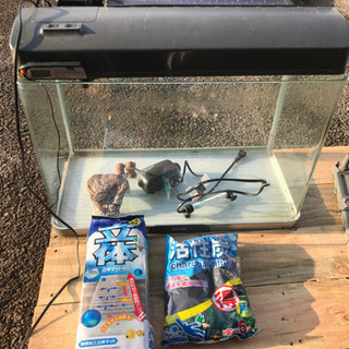 テトラ水槽　60センチの画像