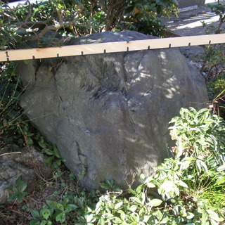 庭石