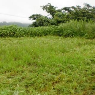 草刈り、 積込作業