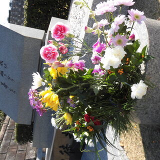 お墓参り代行＜鎌倉霊園＞or＜東戸塚近辺＞墓掃除・草取り・剪定もの画像
