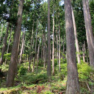 ７月９日(木) 西丹沢・畔が丸登山！！
