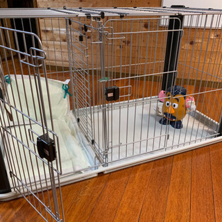 犬ゲージの画像