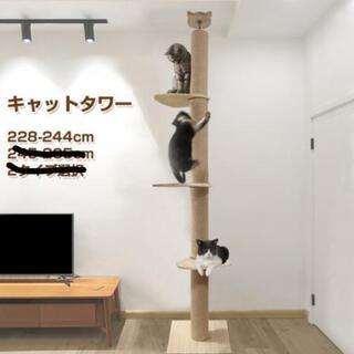新品！キャットタワー　キャットツリー