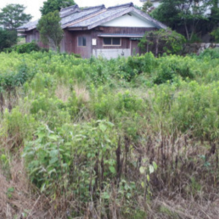 南島原市 草刈り手伝いと空き家の清掃 時給900円の画像