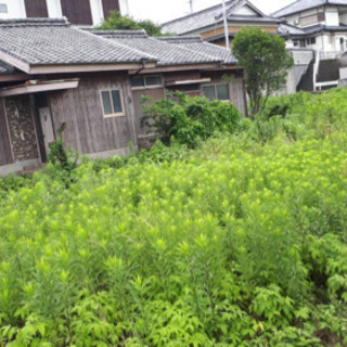 南島原市 草刈り手伝いと空き家の清掃 時給900円の画像