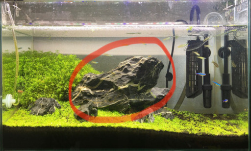 青龍石　特大