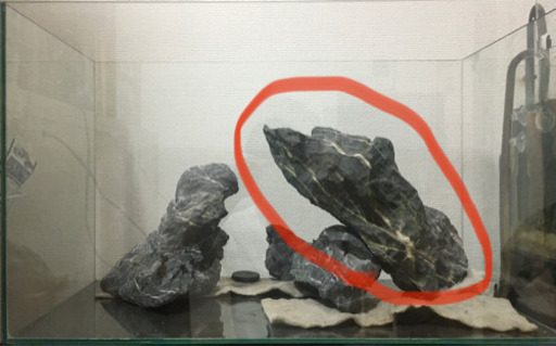 青龍石　特大