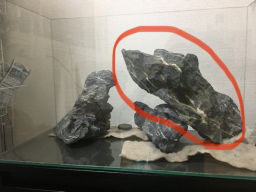 青龍石　特大