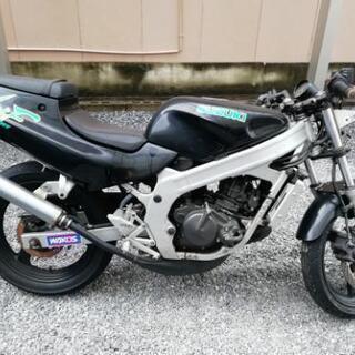 wolf125