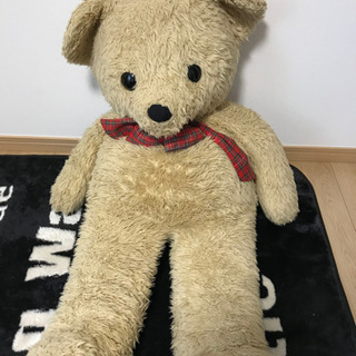熊のぬいぐるみの画像