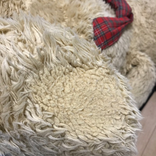 熊のぬいぐるみの画像