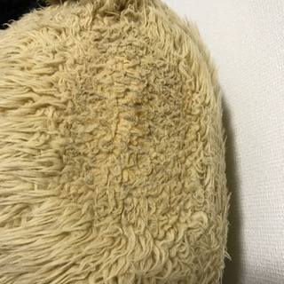 熊のぬいぐるみの画像