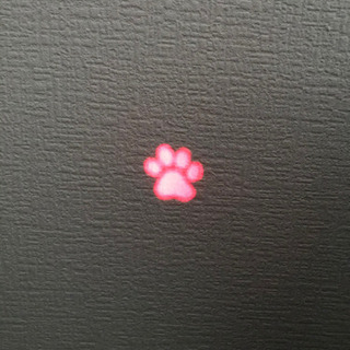 肉球レーザーポインター🐾