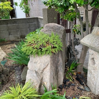★大きな庭石2点 （本御影石ほか）、庭石3〜4点★下見歓迎★搬出できる方限定★の画像