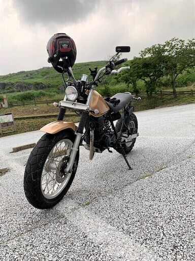 《決まりました》【値下げしました】TW 225　すぐに乗れます