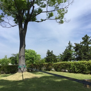 黒石運動公園でスラックラインをやってます（夏） - 黒石市