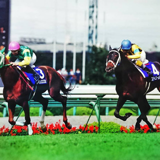 競馬超初心者の会②