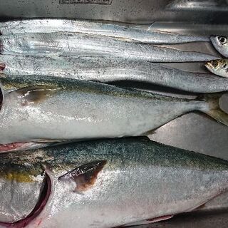 海釣り仲間募集中～(^^)v